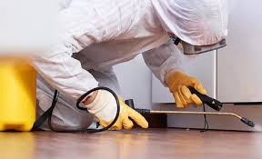 Best Residential Pest Control  in Ship Bottom, NJ